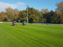 Tout savoir sur les ray-grass tétraploïdes : L'excellence pour vos gazons
