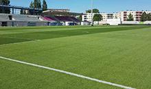 (Ré)introduire le pâturin dans le gazon