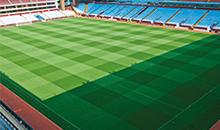 Sport : l'offre gazon complète