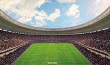 Gazon sportif anti-maladies