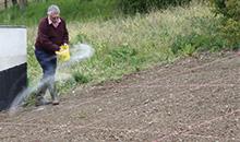 Gazons : préparez les semis d'automne
