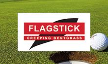 Flagstick, la meilleure face au Dollar Spot !