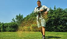 Terminé les semis d'automne ?