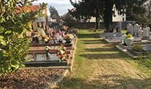 Engazonnement Zéro Phyto